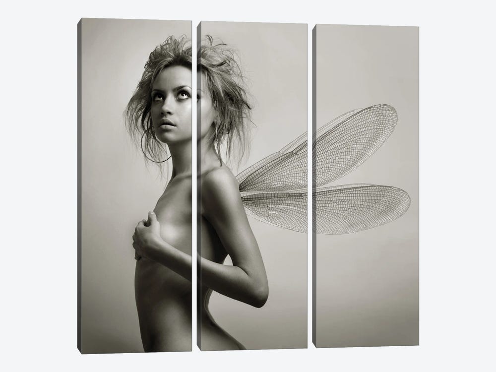 Lady With Wings by George Mayer 3-piece Canvas Print