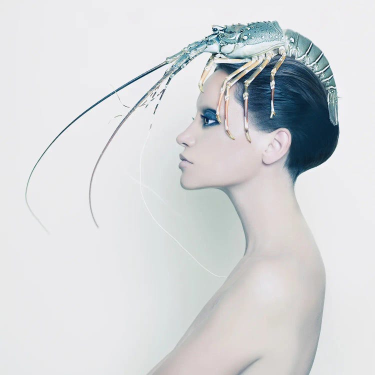 Lady With The Lobster by George Mayer wall art