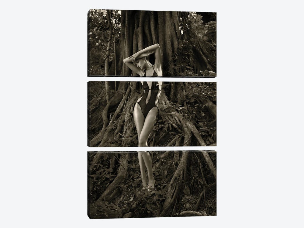 Lady In The Woods by George Mayer 3-piece Art Print