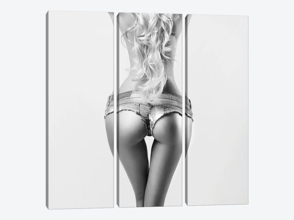 Sexy Shorts by George Mayer 3-piece Canvas Print