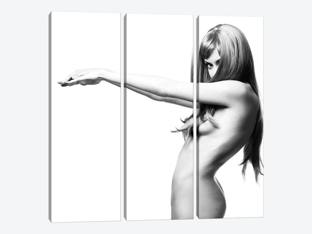 Naked Lady XIX by George Mayer 3-piece Canvas Print