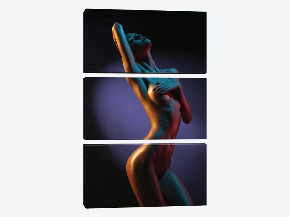 Color Of The Night I by George Mayer 3-piece Art Print