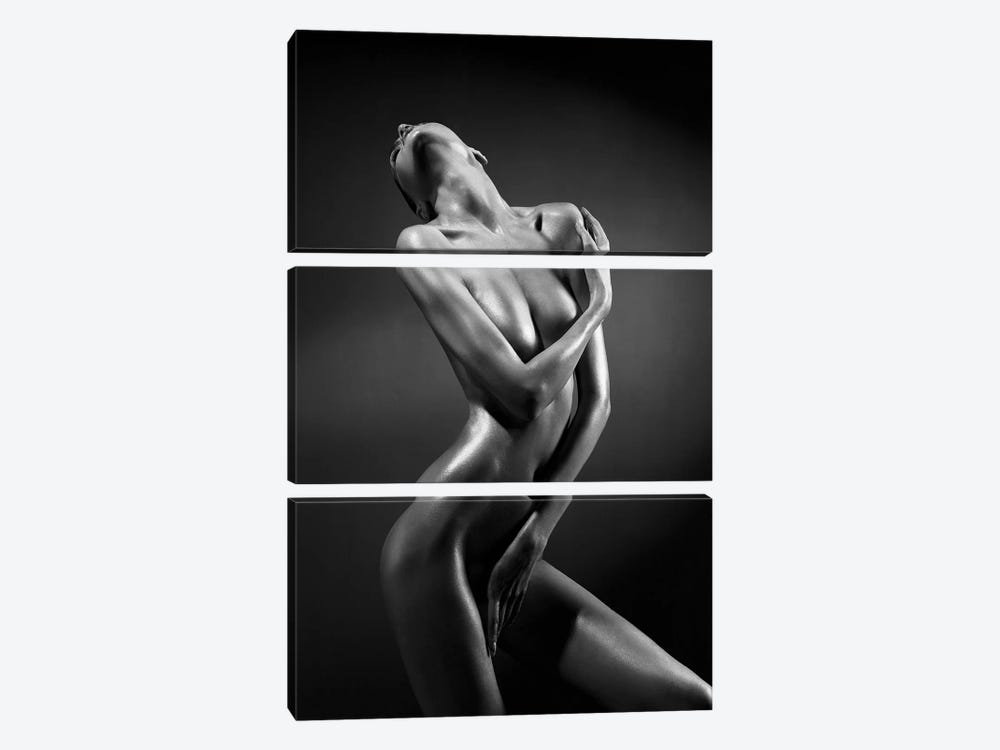 Naked Lady XX by George Mayer 3-piece Canvas Wall Art