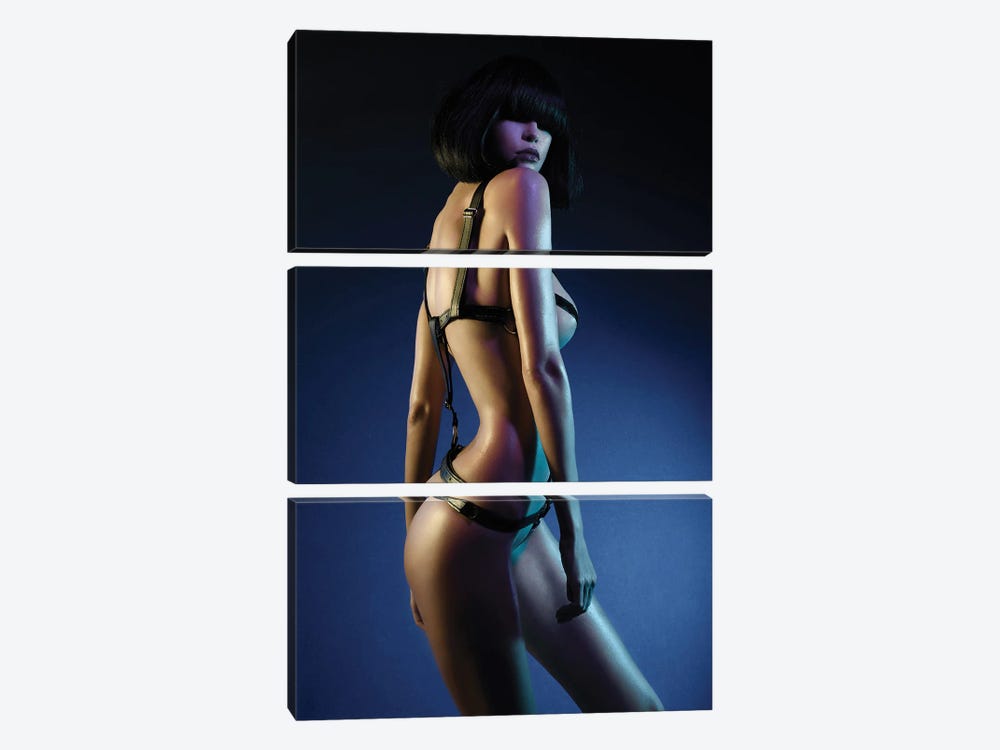 Color Of Night IX by George Mayer 3-piece Canvas Art