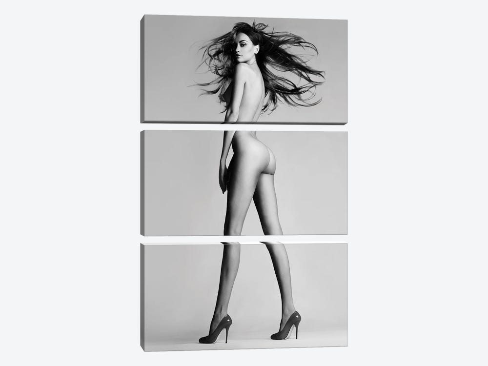 Naked Lady XXI by George Mayer 3-piece Canvas Art
