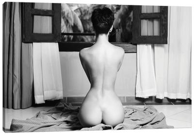 Naked Lady XXII Canvas Art Print - George Mayer
