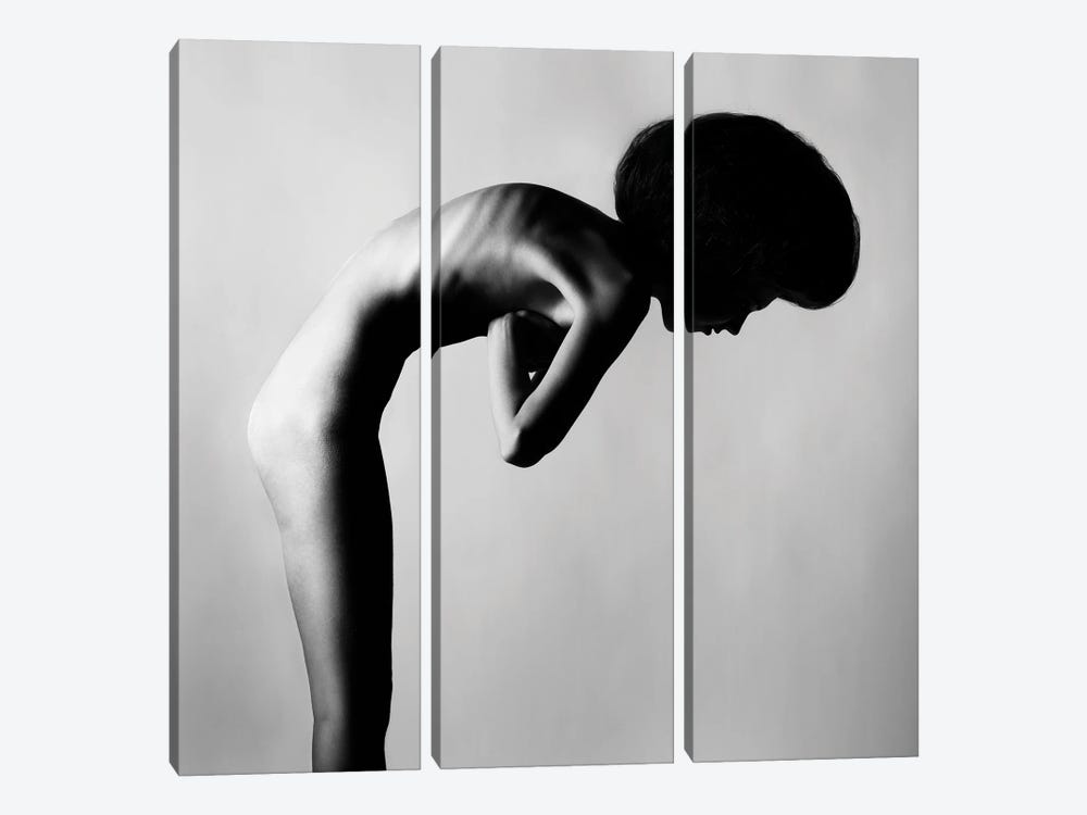 Naked Lady Xxvi by George Mayer 3-piece Canvas Print
