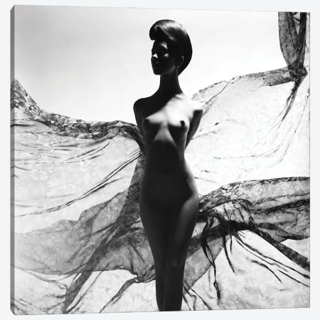 Naked Lady XXVI Canvas Print #GMY97} by George Mayer Canvas Print