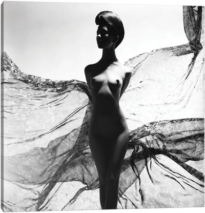 Naked Lady XXVI Canvas Art Print - In the Shadows