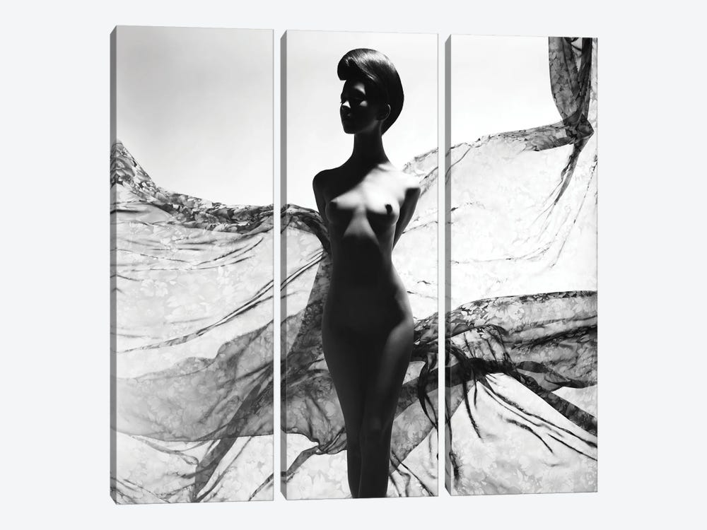 Naked Lady XXVI by George Mayer 3-piece Canvas Print