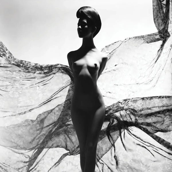 In The Shadows: Naked Lady XXVI by George Mayer