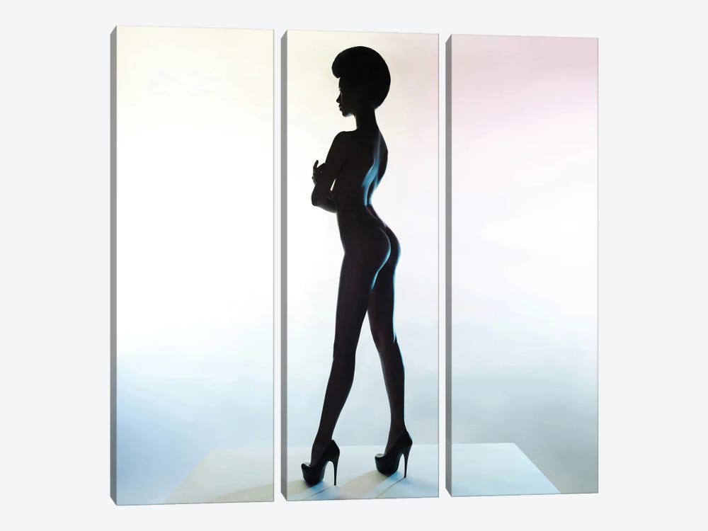 Naked Lady XXVII by George Mayer 3-piece Canvas Wall Art