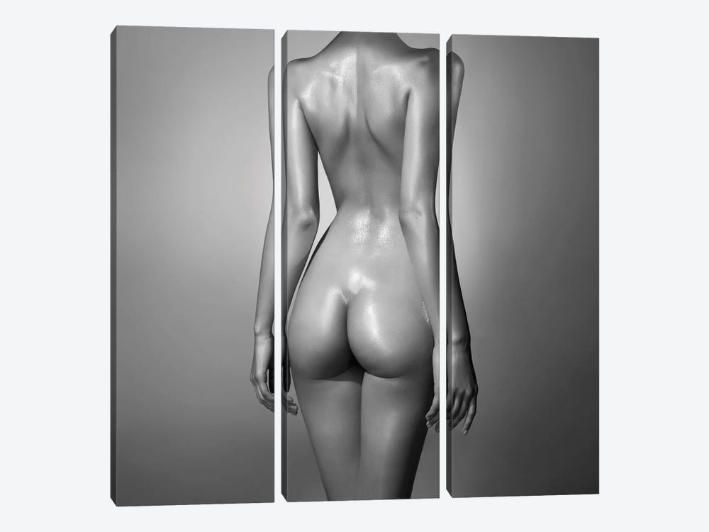 Naked Lady XXVIII by George Mayer 3-piece Canvas Print
