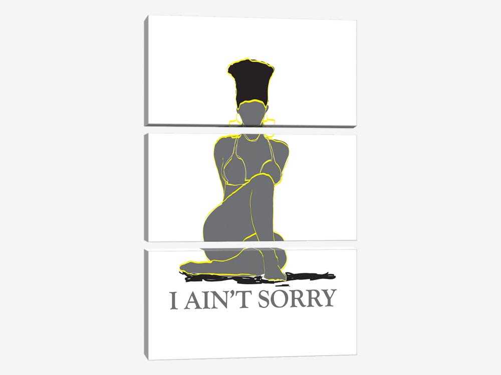 I Ain't Sorry by GNODpop 3-piece Canvas Artwork
