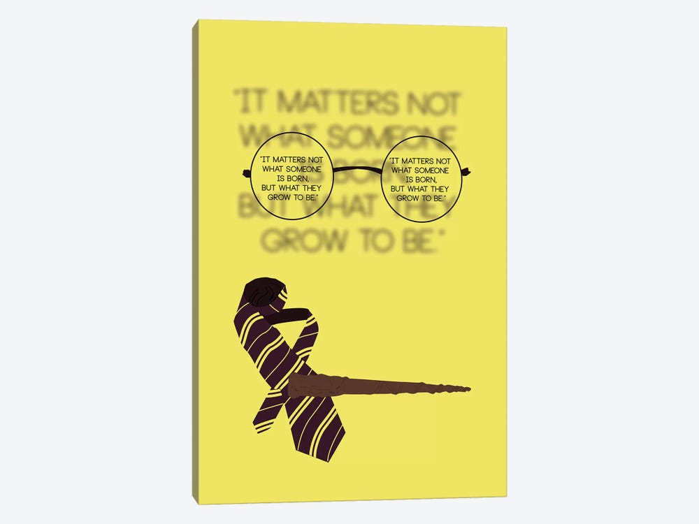 Harry Potter - It Matters Not by GNODpop 1-piece Canvas Art
