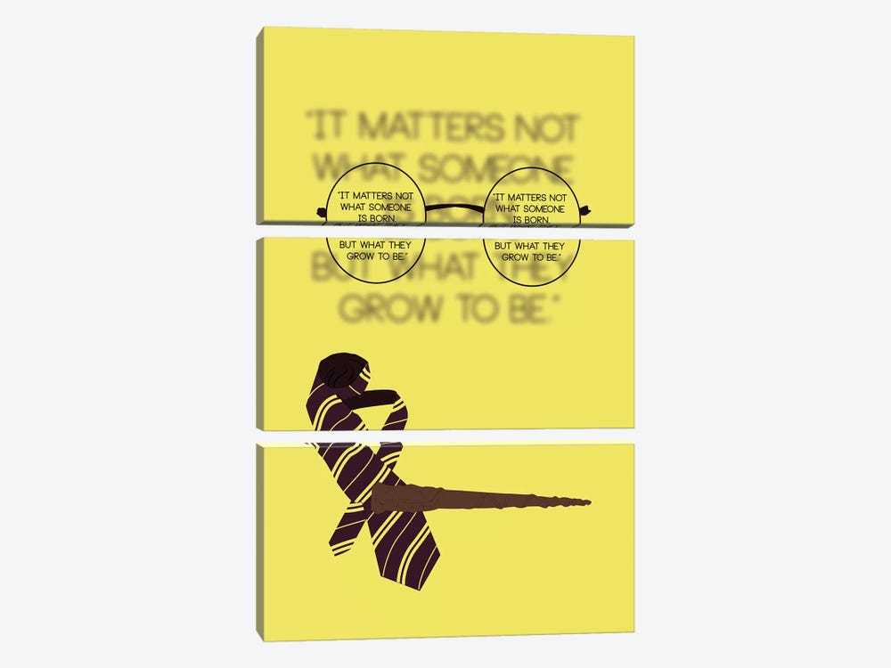 Harry Potter - It Matters Not by GNODpop 3-piece Canvas Art