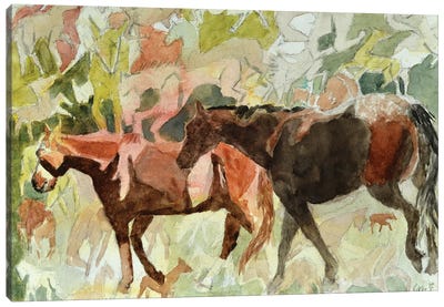 The Horses Instinct Canvas Art Print - Gen Farrell