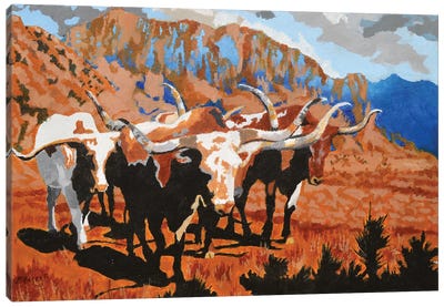 Time Pass Canvas Art Print - Rocky Mountain Art