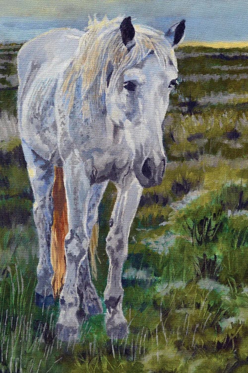 Wild Mare