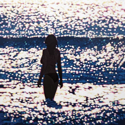 Sparkle Time by Gordon Hunt framed canvas print