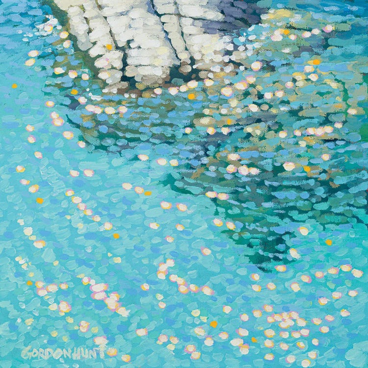 Rock 'N' Water Study