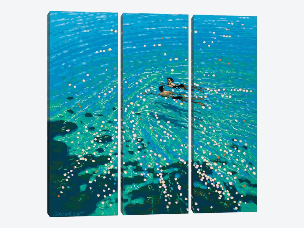 Chit Chat Swim by Gordon Hunt 3-piece Canvas Wall Art