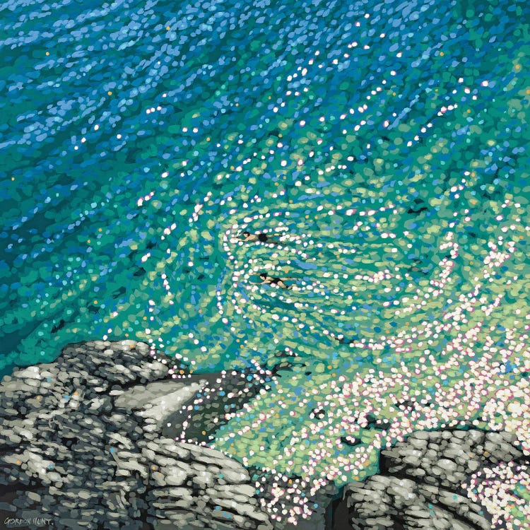 Secluded Cove Swim by Gordon Hunt wall art