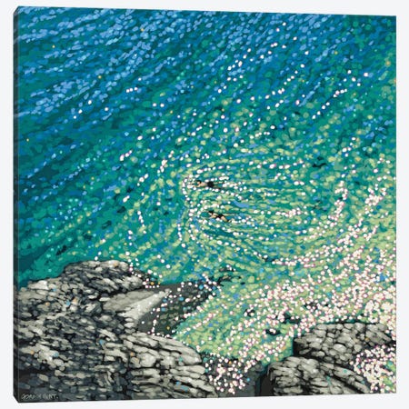 Secluded Cove Swim Canvas Print #GNH19} by Gordon Hunt Art Print