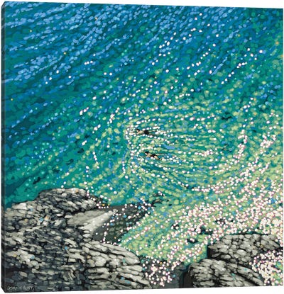 Secluded Cove Swim Canvas Art Print - Contemporary Coastal