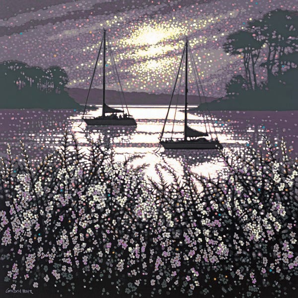 Blackthorn Blossom In Morning Light