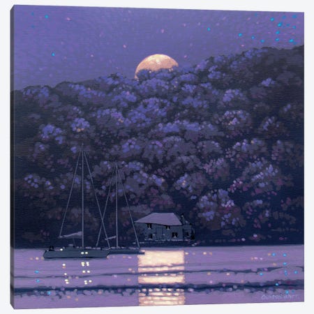 Moonshine Canvas Print #GNH39} by Gordon Hunt Canvas Art Print