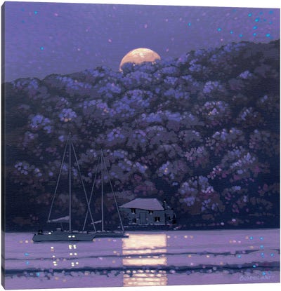 Moonshine Canvas Art Print - Gordon Hunt