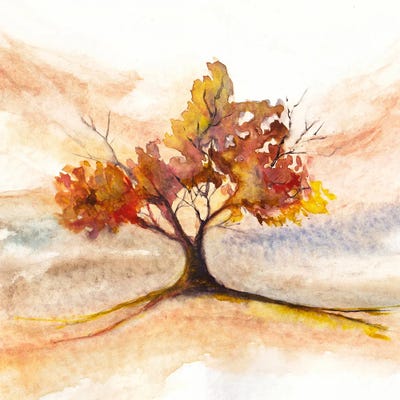 Landscape Painting IV by Marco Gonzalez framed wall art