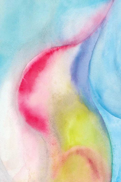 Abstract XII by Marco Gonzalez canvas print