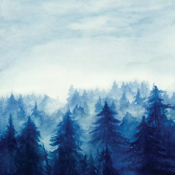 Evergreen Trees: In The Forest II by Marco Gonzalez