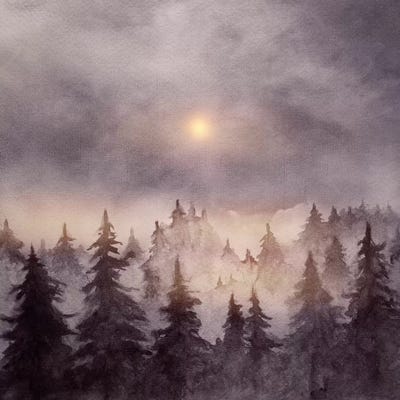 In The Forest III by Marco Gonzalez art print