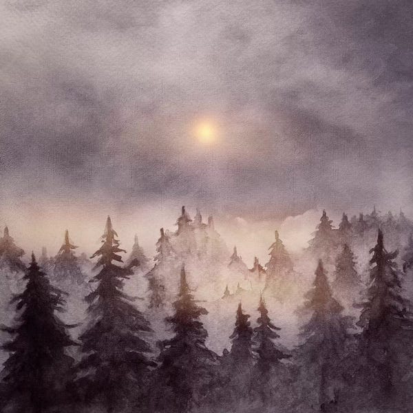 Evergreen Trees: In The Forest III by Marco Gonzalez