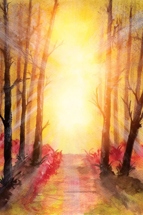 In The Forest V by Marco Gonzalez wall art