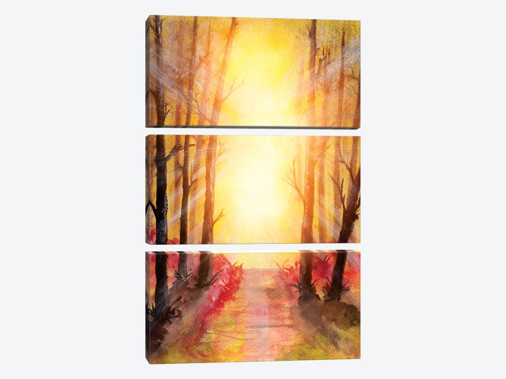 In The Forest V by Marco Gonzalez 3-piece Canvas Art Print