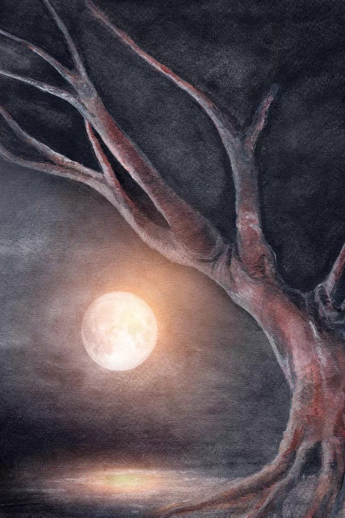 The Moon by Marco Gonzalez wall art