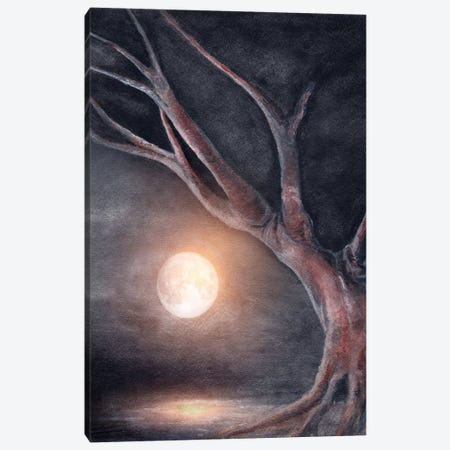 The Moon Canvas Print #GNZ35} by Marco Gonzalez Canvas Wall Art