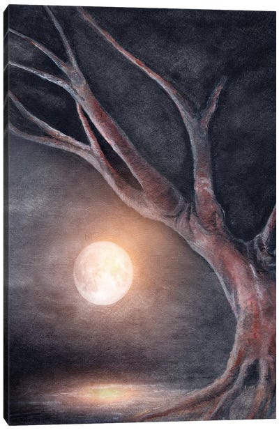 The Moon Canvas Art Print - Marco Gonzalez