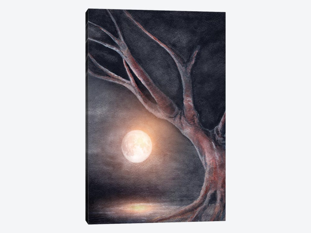 The Moon by Marco Gonzalez 1-piece Canvas Print