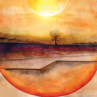 Lone Tree III by Marco Gonzalez canvas print