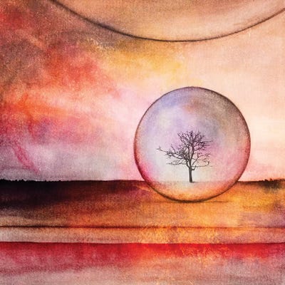 Lone Tree IV by Marco Gonzalez framed wall art