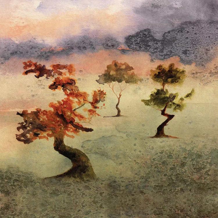 Abstract Watercolor Landscapes V by Marco Gonzalez canvas print