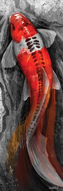 Flowing Koi by Steve Goad wall art