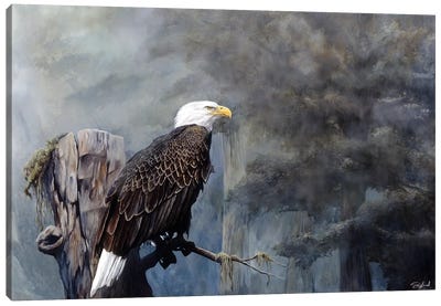 Freedom Haze Canvas Art Print - Eagle Art
