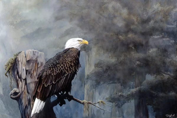 Animal Lover: Freedom Haze by Steve Goad