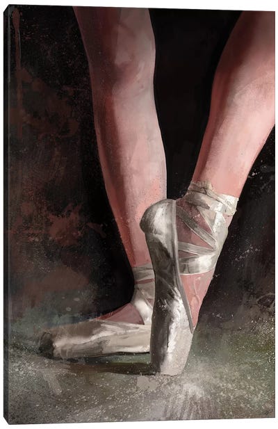 Graceful Slippers Canvas Art Print - Steve Goad
